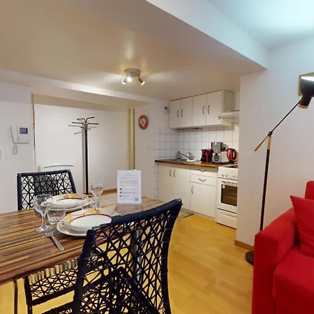 公寓 Celinovacances 科尔马