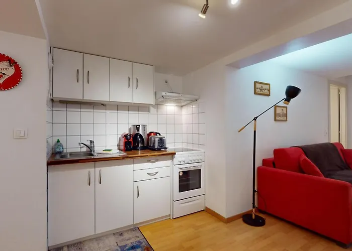 アパート Celinovacances コルマール